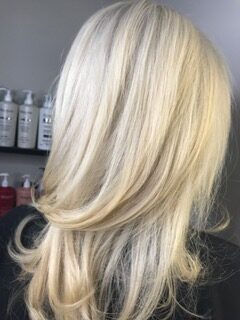 bleach out for roots after 3 1 rotated